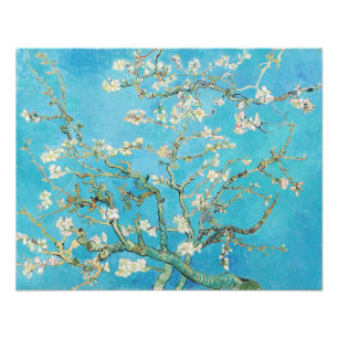 Foto Vincent van Gogh - Flor de Amendoeira