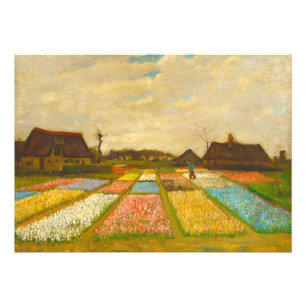 Foto Vincent van Gogh Flower Beds na Holanda