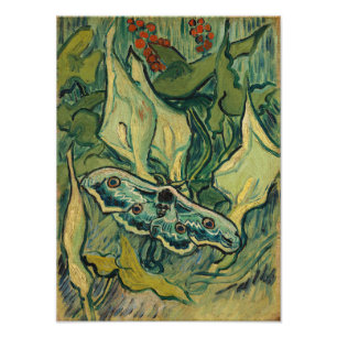 Foto Vincent van Gogh - Grande Mariposa Pavão
