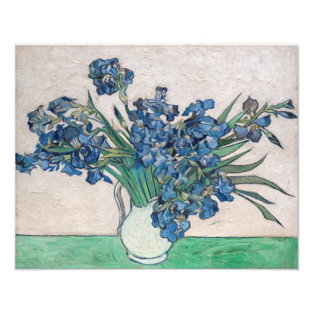 Foto Vincent van Gogh - Íris (Frente)