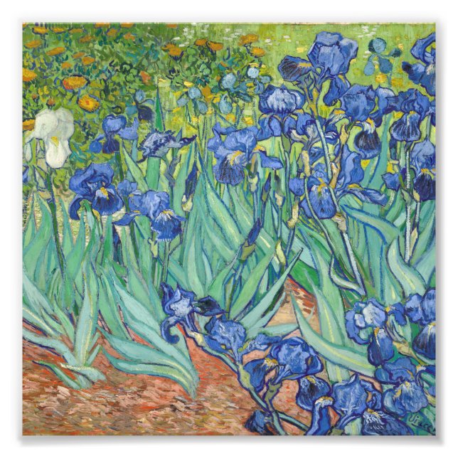 Foto Vincent Van Gogh - Irlandeses 1889 (Frente)