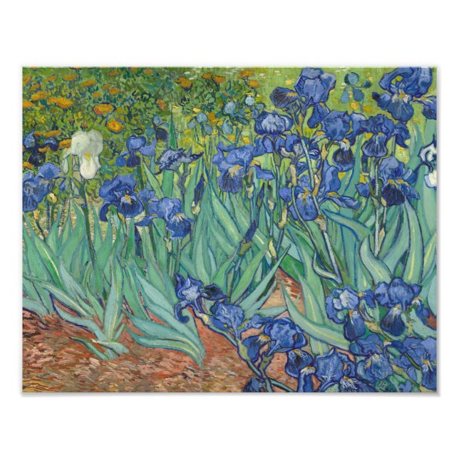 Foto Vincent van Gogh - Irrises (Frente)