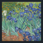 Foto Vincent Van Gogh - Irrises<br><div class="desc">Vincent Van Gogh - Irrises</div>