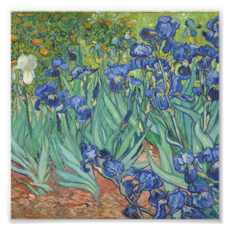 Foto Vincent Van Gogh - Irrises