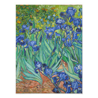 Foto Vincent Van Gogh - Irrises