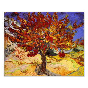 Foto Vincent Van Gogh Mulberry Tree Pintura de Arte fin
