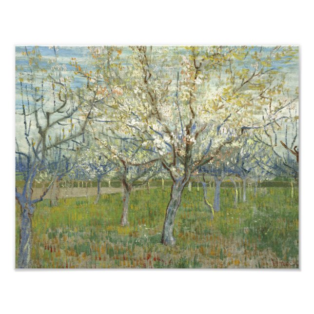 Foto Vincent van Gogh - O Pomar Rosa (Frente)