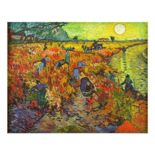 Foto Vincent van Gogh - O Vineyard Vermelho
