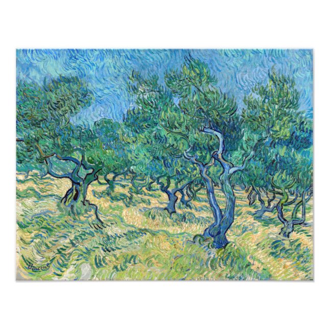 Foto Vincent van Gogh - Olival (Frente)