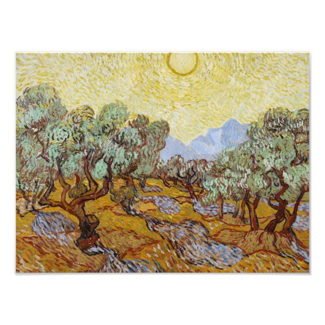 Foto Vincent van Gogh - Oliveiras (Frente)