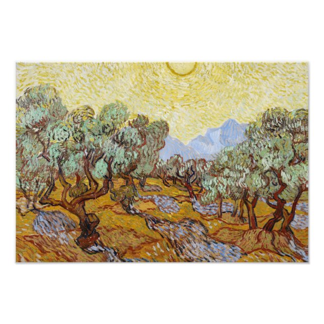 Foto Vincent van Gogh - Oliveiras (Frente)