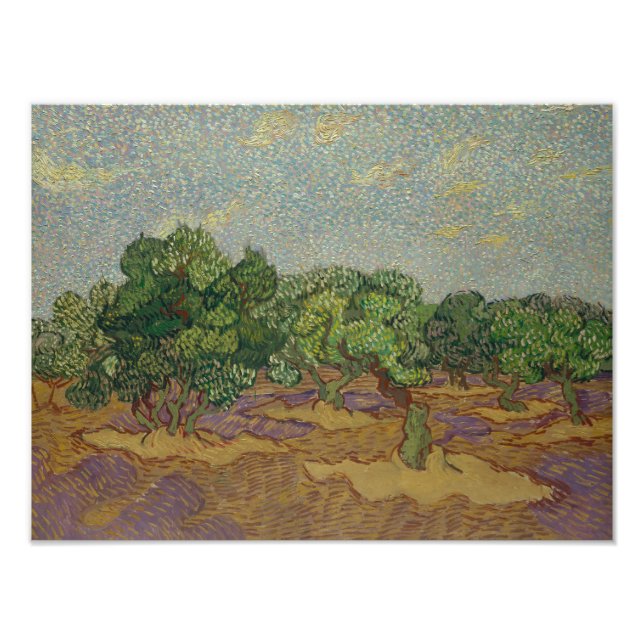 Foto Vincent van Gogh - Oliveiras (Frente)
