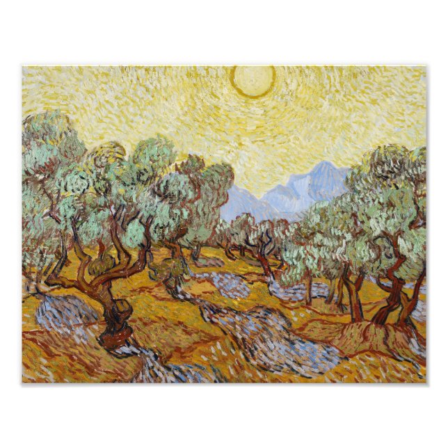 Foto Vincent van Gogh - Oliveiras (Frente)