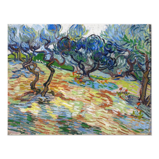 Foto Vincent van Gogh - Oliveiras: Céu azul brilhante (Frente)