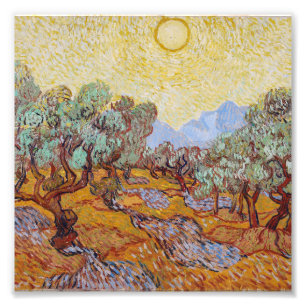 Foto Vincent Van Gogh - Oliveiras com Céu Amarelo
