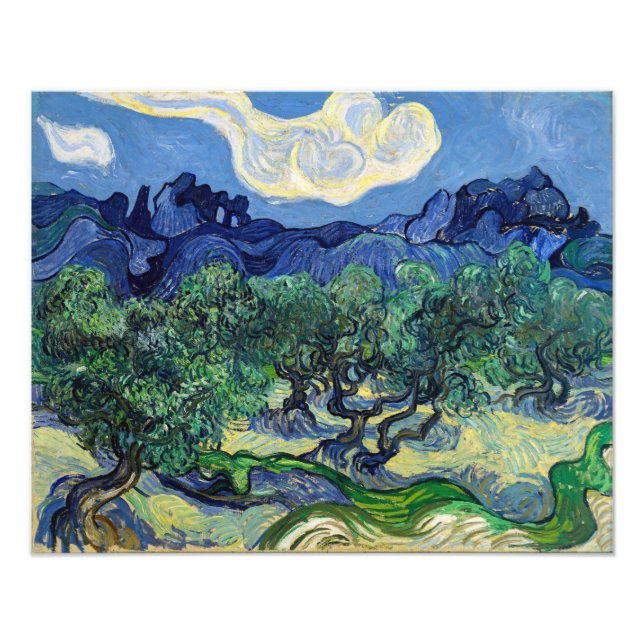 Foto Vincent van Gogh - Oliveiras com os Alpilles (Frente)