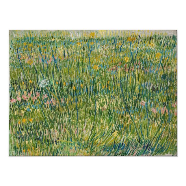 Foto Vincent van Gogh - Patch de grama (Frente)