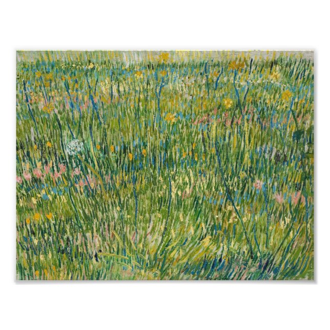 Foto Vincent van Gogh - Patch do Grass (Frente)