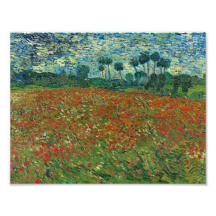 Foto Vincent van Gogh - Poppy Field