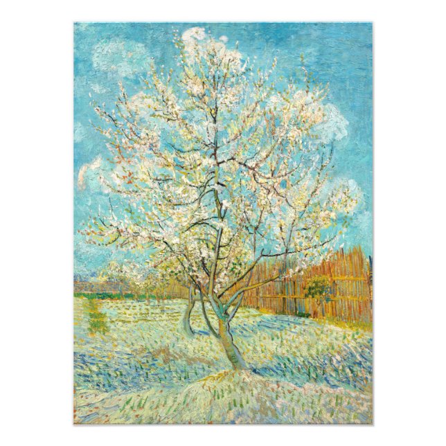 Foto Vincent van Gogh - Roseira em Flor (Frente)