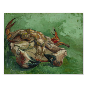 Foto Vincent van Gogh - Um caranguejo nas costas