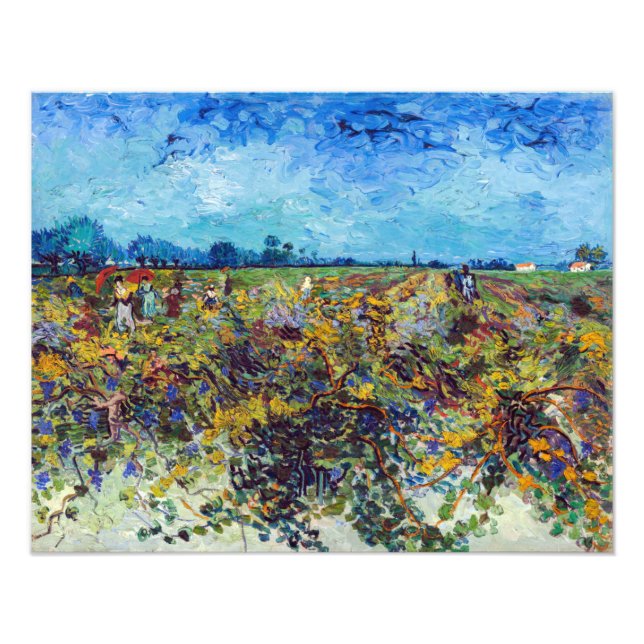 Foto Vincent van Gogh - Vinha Verde (Frente)