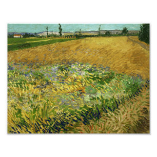 Foto Vincent van Gogh - Wheatfield