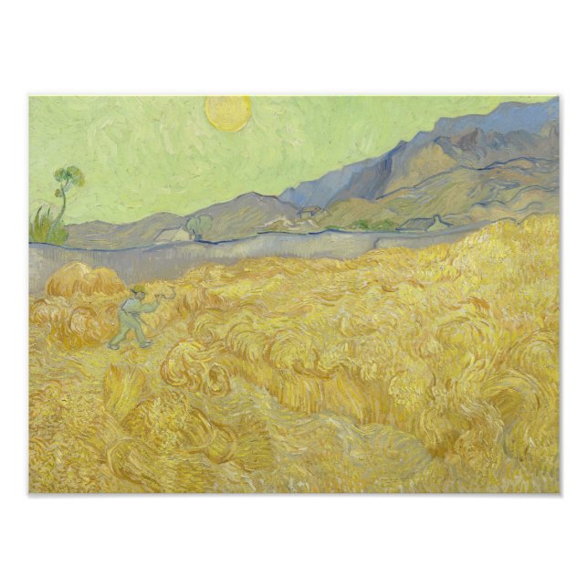 Foto Vincent van Gogh - Wheatfield com um Receptor (Frente)
