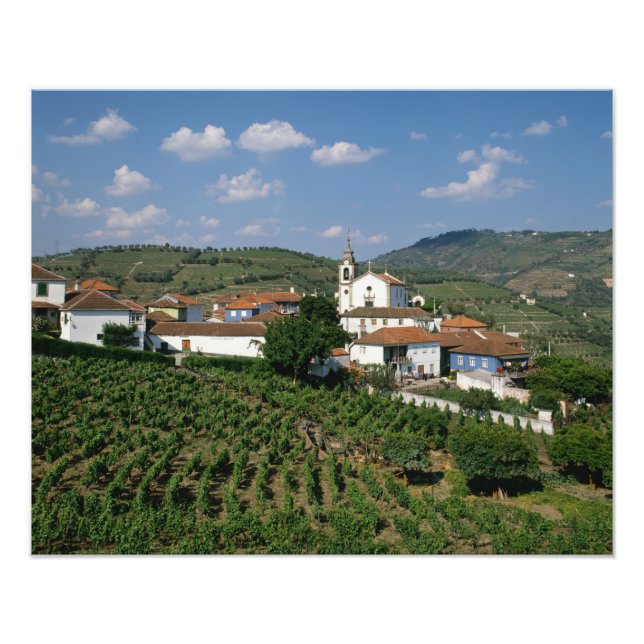 Foto Vineyards, Vila de San Miguel, Douro (Frente)