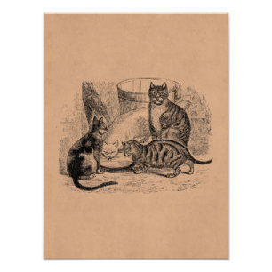 Foto Vintage Barn Cats 1800s Cat Illustration Modelo