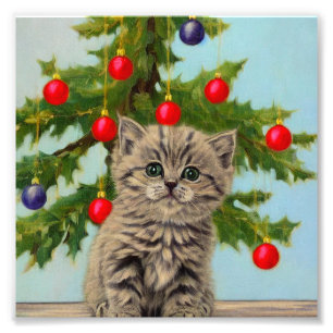 Foto Vintage Cat e Árvore de Natal