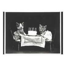 Vintage Cats numa Festa de aniversário