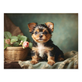 Foto Vintage Cute Puppy Dog Yorkshire Terrier Portrait