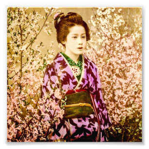 Foto Vintage Geisha Posicionando em Florestas de Cereja