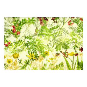 Foto Vintage Green Woodland Botânica Folha de Flor Selv