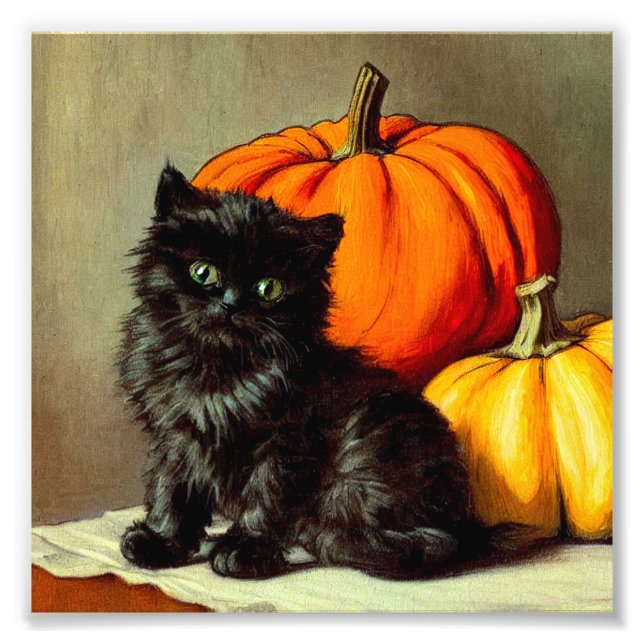 Foto Vintage Halloween Black Cat e Pumpkins (Frente)
