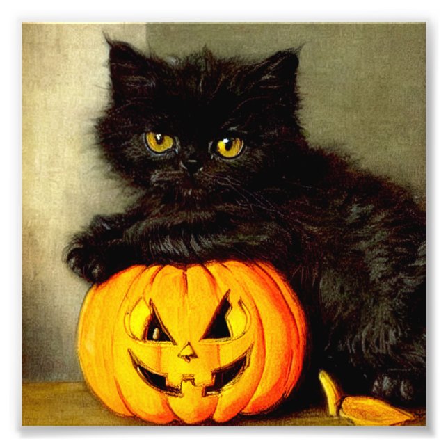 Foto Vintage Halloween Cat e Jack-o'-lantern (Frente)