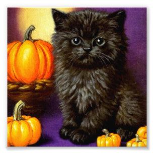 Foto Vintage Halloween Kitten