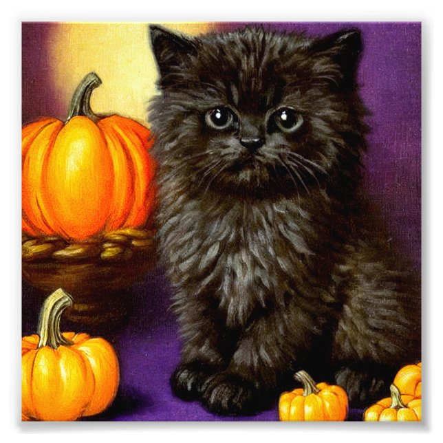 Foto Vintage Halloween Kitten (Frente)
