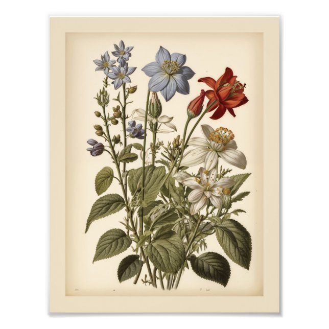 Foto Vintage illustration of wildflowers  (Frente)