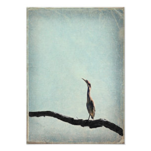 Foto Vintage inspirou Heron Verde no céu azul pálido