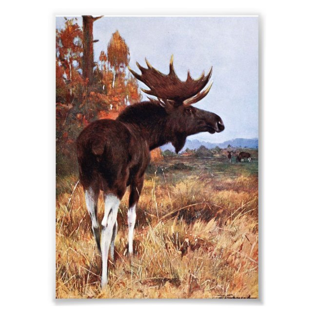 Foto Vintage Moose Painting (Frente)