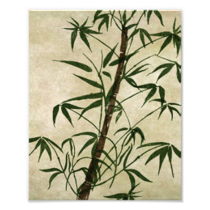 Foto Vintage Oriental Bamboo 1