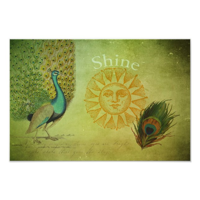 Foto Vintage Peacock Art Collage (Frente)