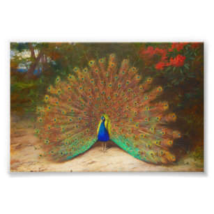 Foto Vintage Peacock Painting