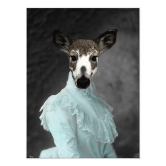 Foto Vintage Piebald Deer