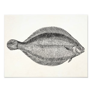 Foto Vintage Pole Flounder Fish Personalizado Modelo
