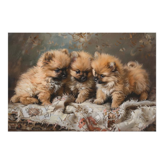 Foto Vintage Puppy Trio da Pomerânia (Frente)