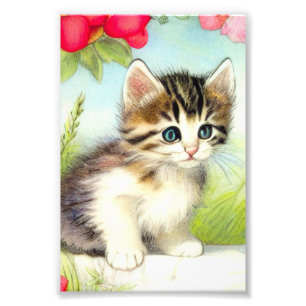 Foto Vintage White e Brown Kitten com Flores