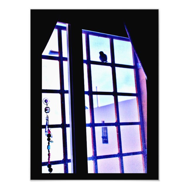 Foto Visita especial (Frente)